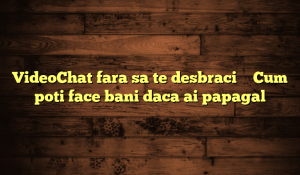 VideoChat fara sa te desbraci – Cum poti face bani daca ai papagal