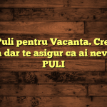 Vand Puli pentru Vacanta. Crezi ca e gluma dar te asigur ca ai nevoie de PULI