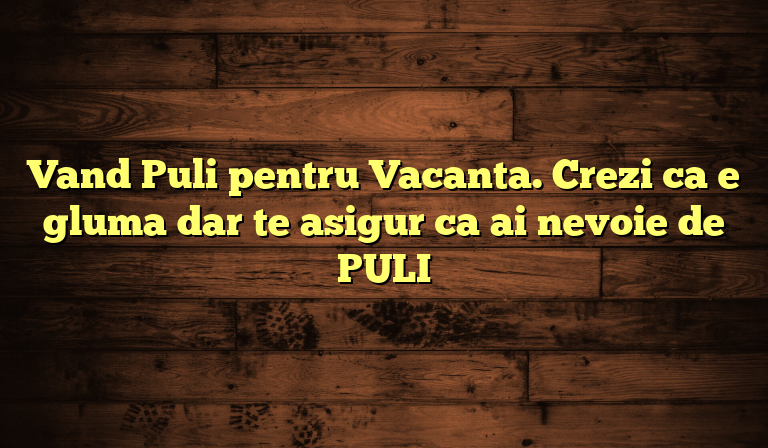 Vand Puli pentru Vacanta. Crezi ca e gluma dar te asigur ca ai nevoie de PULI